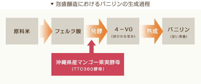 泡盛醸造におけるバニリンの生成過程