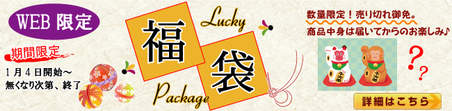 2016Luckybag-baner-vol3