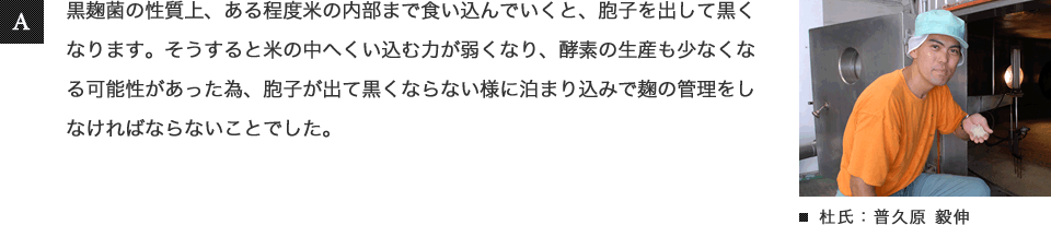 黒麹の性質上、ある程度米の内部まで食い込んでいくと、胞子を出して黒くなります。そうるすと米の中へ食い込む力が弱くなり、酵素の生産も少なくなる可能性があった為、胞子が出て黒くならない様に泊り込みで麹の管理をしなければならないことでした。